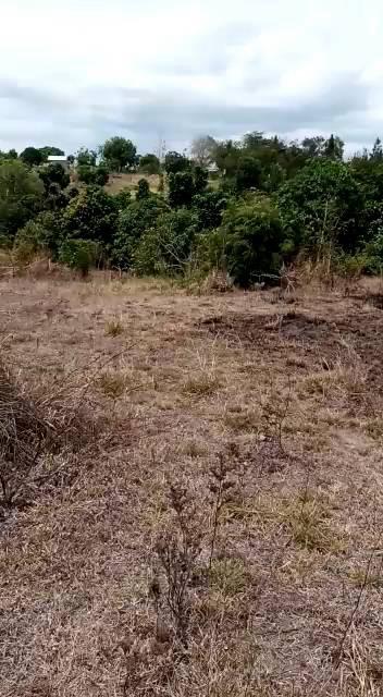 Plots for sale at Kigamboni, Dar Es Salaam