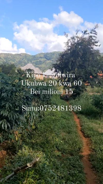 Plot for sale at Kingolwira, Morogoro