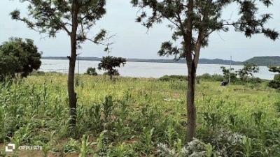 Plot for sale at Nyegezi, Mwanza