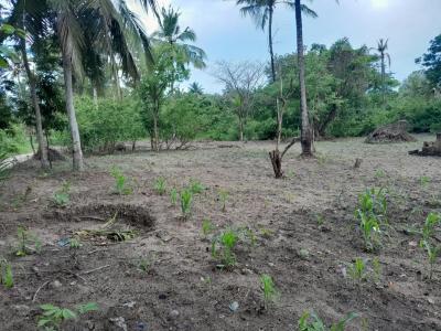 Farms for sale at Visiga, Pwani