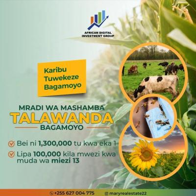 Farms for sale at Bagamoyo, Mbeya