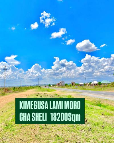 Plot for sale at Mtumba, Dodoma