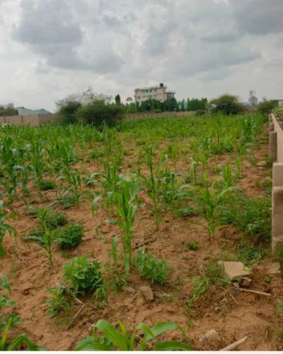 Kiwanja kinauzwa Mawasiliano, Morogoro