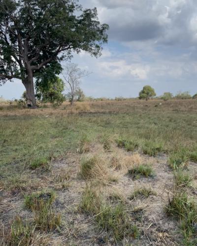 Plots for sale at Bagamoyo, Mbeya