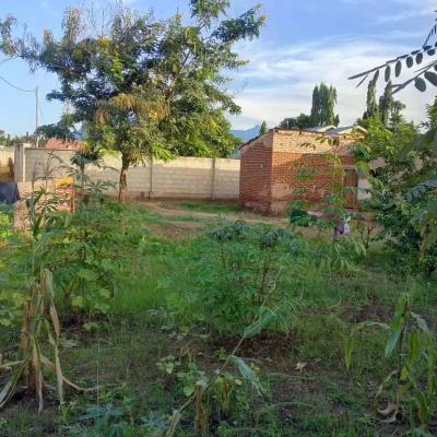 Plot for sale at Kihonda, Morogoro