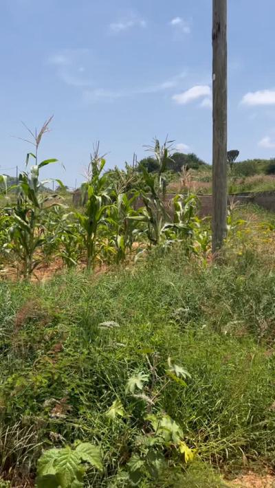 Plot for sale at Mjini, Ruvuma