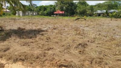 Plots for sale at Chanika, Dar Es Salaam