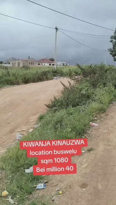 Kiwanja kinauzwa Buswelu, Mwanza