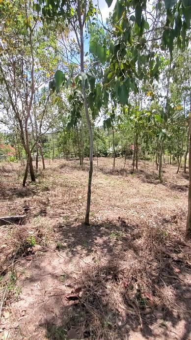 Plot for sale at Kinyerezi, Dar Es Salaam