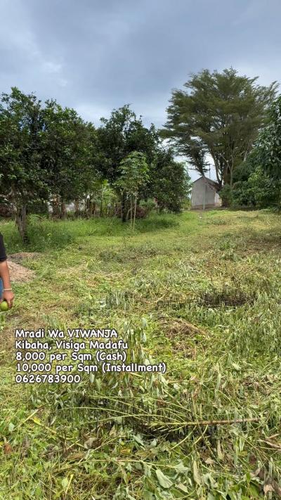 Plots for sale at Visiga, Pwani