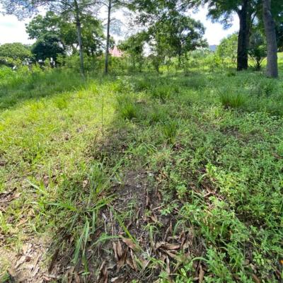 Plot for sale at Mbezi, Dar Es Salaam