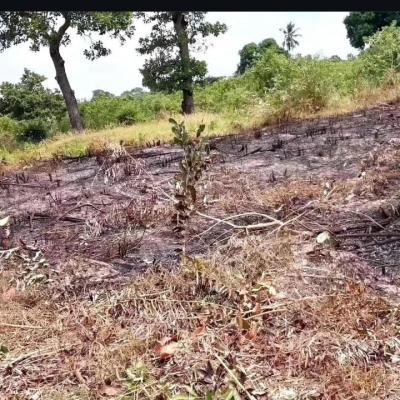 Plot for sale at Mkamba, Pwani