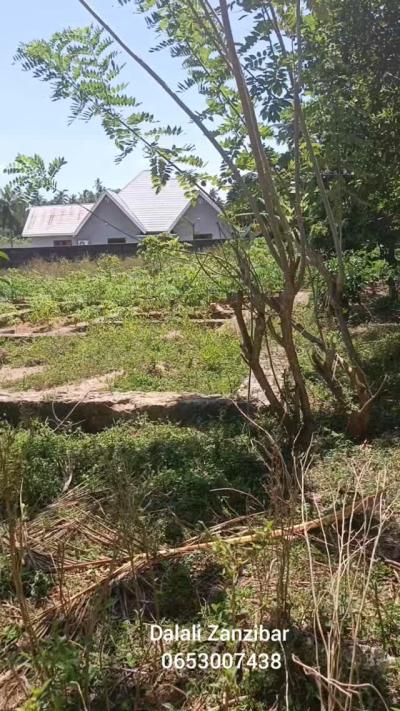 Plot for sale at Mwera, Tanga