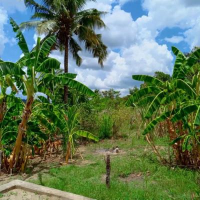 Plot for sale at Mbezi, Dar Es Salaam