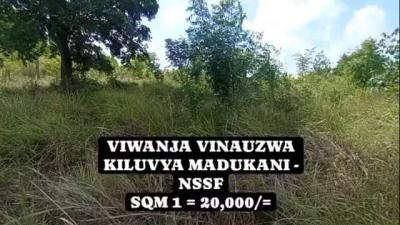 Plots for sale at Kiluvya, Pwani