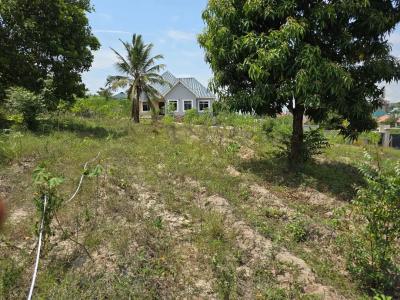 Plots for sale at Kinyerezi, Dar Es Salaam