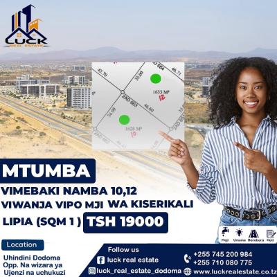 Plots for sale at Mtumba, Dodoma