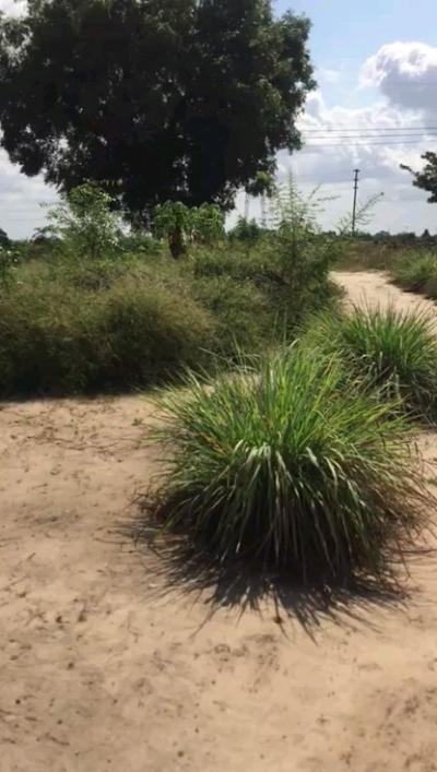 Kiwanja kinauzwa Mbezi, Dar Es Salaam