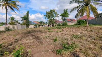 Plot for sale at Tambalale, Tabora