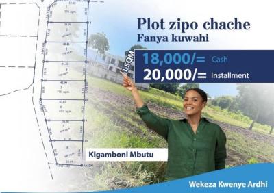 Plots for sale at Mbutu, Tabora