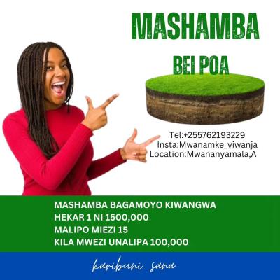 Mashamba yanauzwa Kiwangwa, Pwani