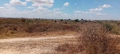 Shamba linauzwa Heka, Singida