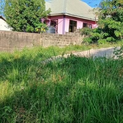 Plot for sale at Kinyerezi, Dar Es Salaam