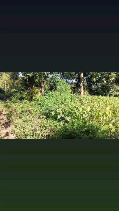 Plot for sale at Nduruma, Arusha