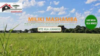 Farms for sale at Mwananyamala, Dar Es Salaam