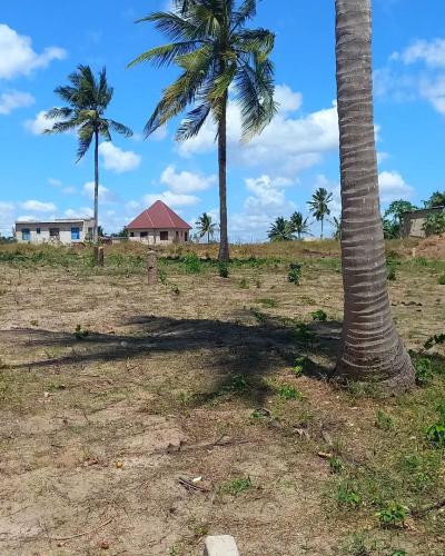 Plots for sale at Chanika, Dar Es Salaam