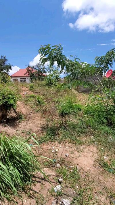 Plot for sale at Kinyerezi, Dar Es Salaam