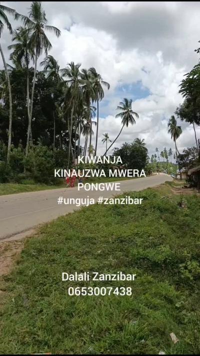 Kiwanja kinauzwa Mwera, Tanga