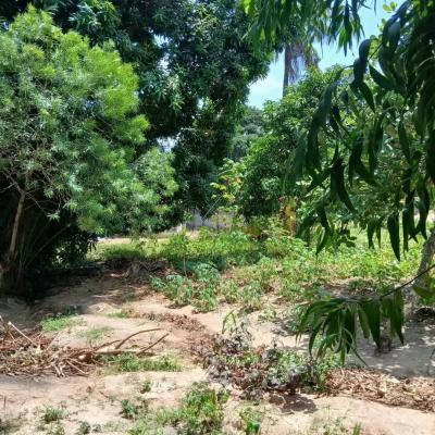 Plot for sale at Tabata, Dar Es Salaam