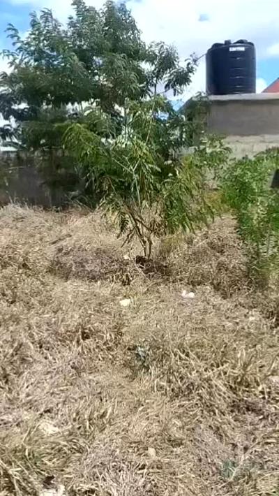 Plot for sale at Boma, Iringa