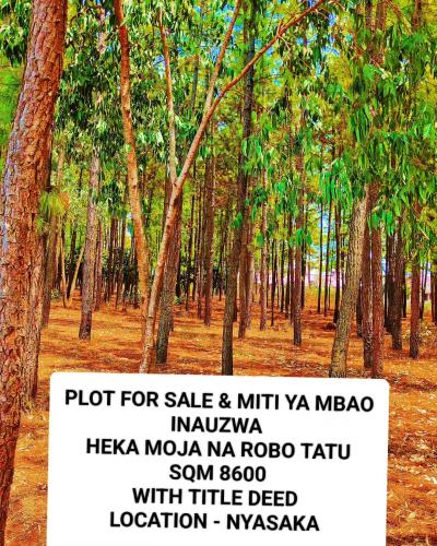 Plot for sale at Nyasaka, Mwanza