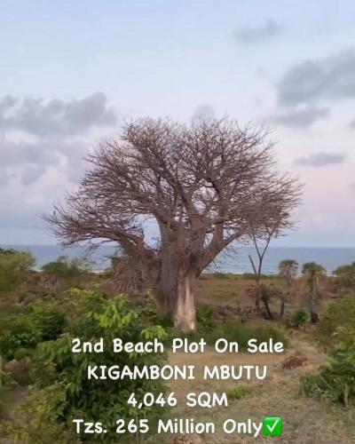 Plot for sale at Kigamboni, Dar Es Salaam