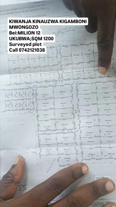 Plot for sale at Kigamboni, Dar Es Salaam