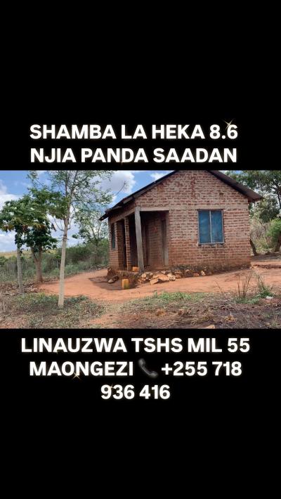 Shamba linauzwa Mnazi, Tanga