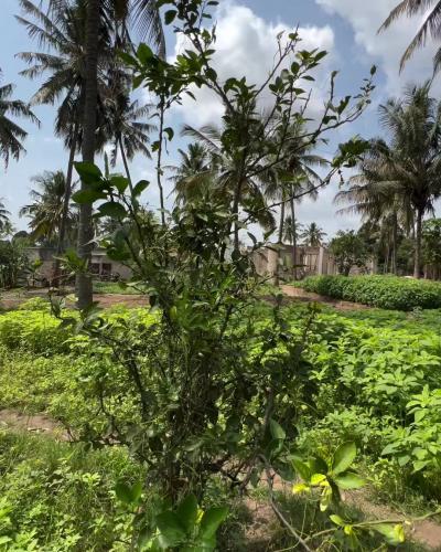 Plot for sale at Bunju, Dar Es Salaam