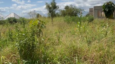 Plot for sale at Mkundi, Morogoro