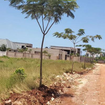 Plot for sale at Wazo, Dar Es Salaam