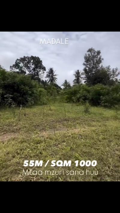 Plot for sale at Madale, Dar Es Salaam