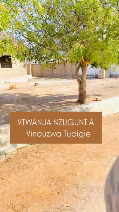 Plots for sale at Nzuguni, Dodoma