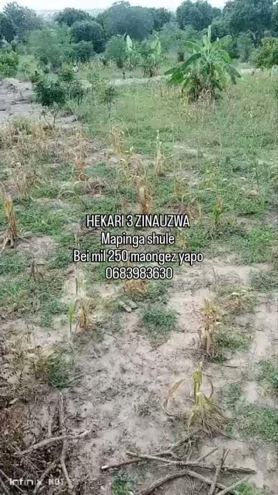 Plot for sale at Mapinga, Pwani