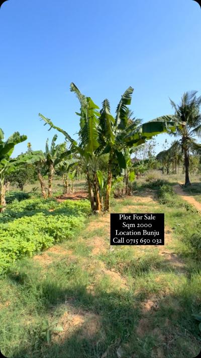 Plot for sale at Bunju, Dar Es Salaam