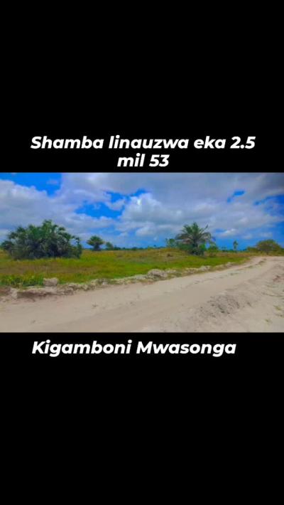 Plot for sale at Kigamboni, Dar Es Salaam