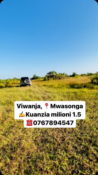 Plots for sale at Kigamboni, Dar Es Salaam