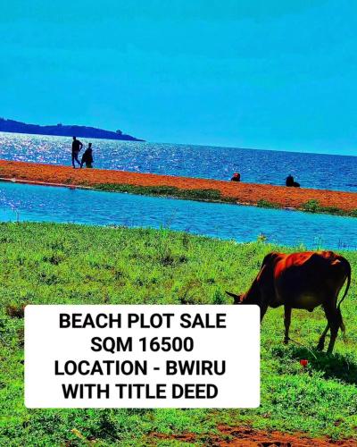 Plot for sale at Ziwani, Mtwara