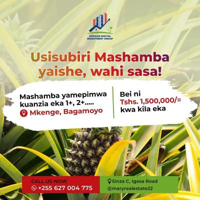 Farms for sale at Bagamoyo, Mbeya