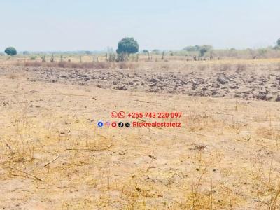 Farm for sale at Kisesa, Mwanza